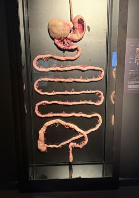 Photo 15 from Northbridge Centre