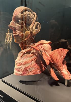 Photo 13 from Northbridge Centre