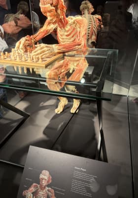 Photo 14 from Northbridge Centre