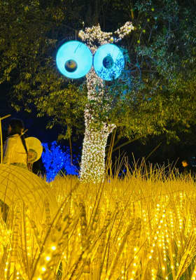 Photo 1 from Festival Brilla