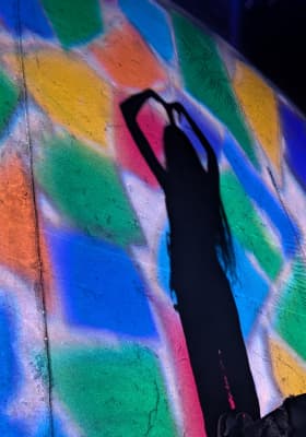 Photo 6 from Fairchild Tropical Botanic Garden