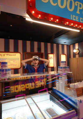 Photo 8 from Luna Park Sydney