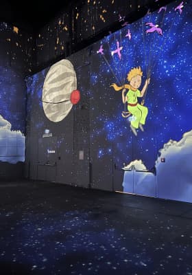 Photo 12 from Phoenix des Lumières