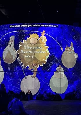 Photo 8 from Phoenix des Lumières