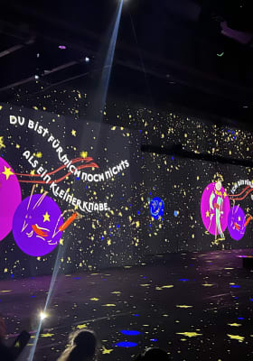 Photo 7 from Phoenix des Lumières