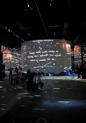 Photo 6 from Phoenix des Lumières