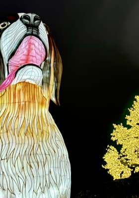 Photo 10 from Wan Chai Harbourfront Event Space - 灣仔海濱活動空間 - C區