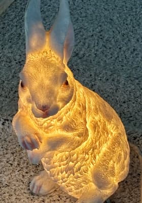 Photo 7 from Wan Chai Harbourfront Event Space - 灣仔海濱活動空間 - C區