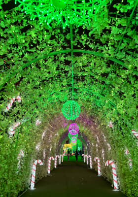 Photo 6 from Wan Chai Harbourfront Event Space - 灣仔海濱活動空間 - C區