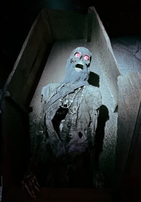 Photo 10 from Dungeons & Dragons: The Immersive Quest