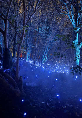 Photo 2 from La Villette