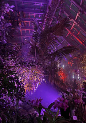 Photo 5 from 京都府立植物園 (Kyoto Botanical Gardens)