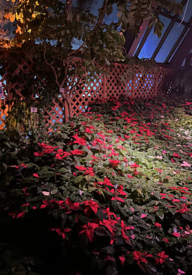 Photo 3 from 京都府立植物園 (Kyoto Botanical Gardens)