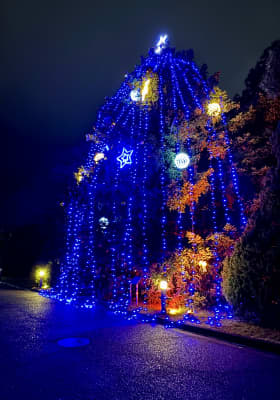 Photo 1 from 京都府立植物園 (Kyoto Botanical Gardens)
