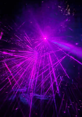 Photo 3 from South Coast Botanic Garden