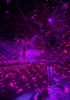 Photo 1 from South Coast Botanic Garden