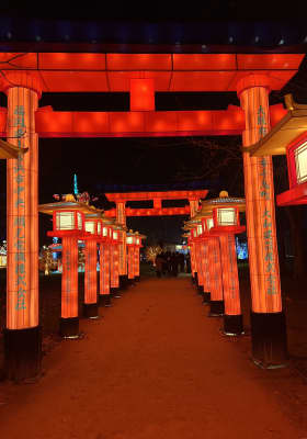 Photo 6 from Jardin d'Acclimatation