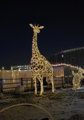 Photo 4 from CAVALLUNA PARK München