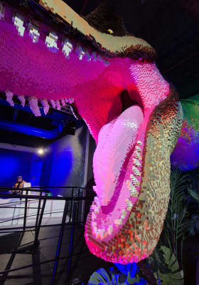 Photo 4 from Paris Montreuil Expo