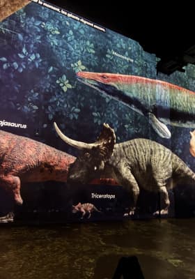 Photo 4 from Atelier des Lumières