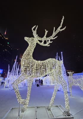 Photo 2 from Wan Chai Harbourfront Event Space - 灣仔海濱活動空間 - C區