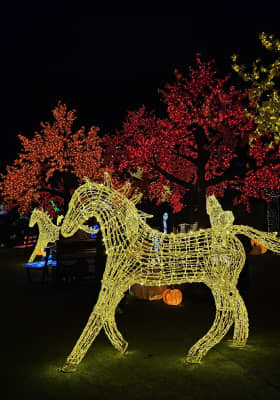 Photo 1 from Wan Chai Harbourfront Event Space - 灣仔海濱活動空間 - C區