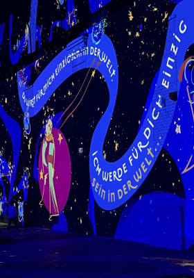 Photo 4 from Phoenix des Lumières