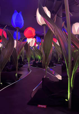 Photo 9 from Spaarndammerstraat 460C