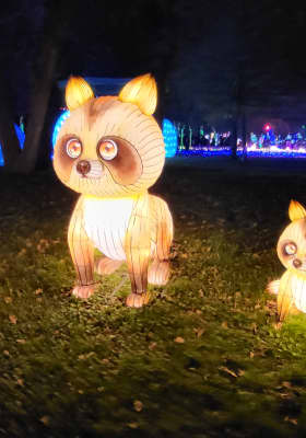 Photo 3 from Jardin d'Acclimatation