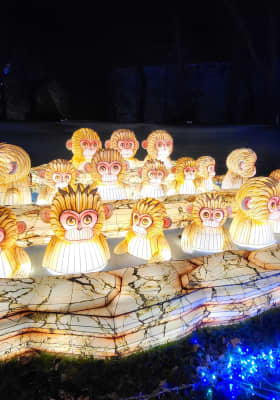 Photo 2 from Jardin d'Acclimatation