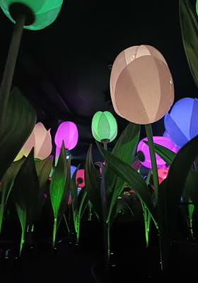 Photo 5 from Spaarndammerstraat 460C