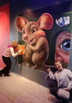 Photo 4 from Spaarndammerstraat 460C