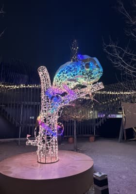 Photo 3 from CAVALLUNA PARK München