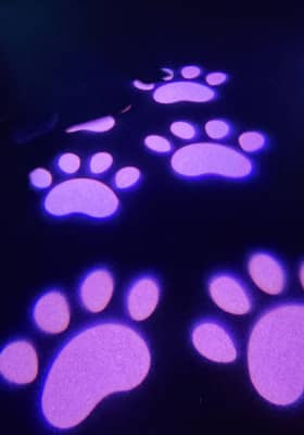 Photo 2 from Mall of America