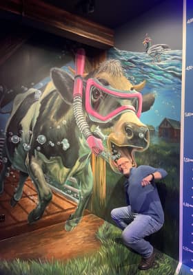 Photo 1 from Spaarndammerstraat 460C