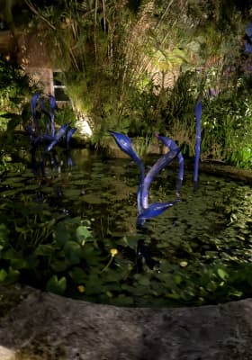 Photo 2 from Fairchild Tropical Botanic Garden