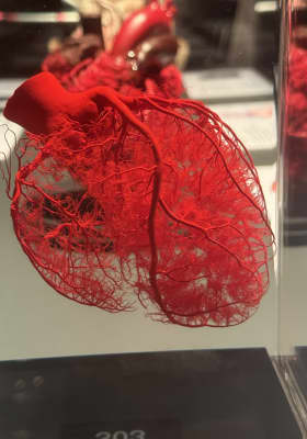 Photo 2 from Northbridge Centre