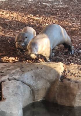 Photo 5 from Parrot World - Le parc animalier immersif