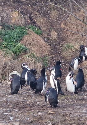 Photo 2 from Parrot World - Le parc animalier immersif