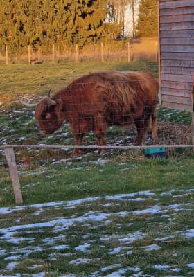 Photo 1 from Parrot World - Le parc animalier immersif