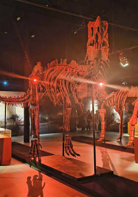 Photo 2 from Exhibition Hub Atlanta Art Center