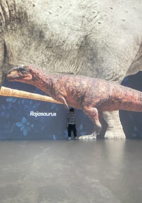 Photo 8 from Port des Lumières