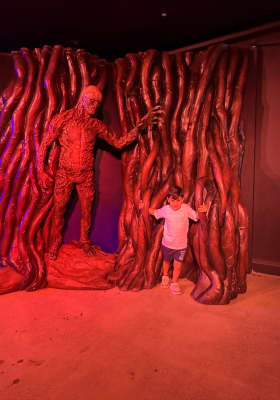 Photo 1 from Luna Park Sydney