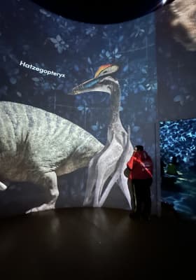 Photo 1 from Atelier des Lumières