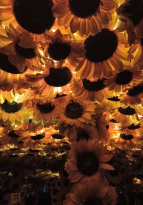 Photo 5 from Centro Comercial Paseo Balmaceda