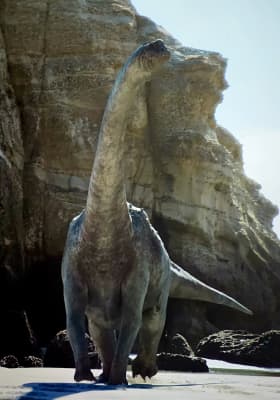 Photo 7 from Port des Lumières