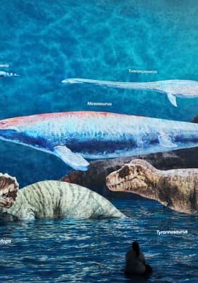 Photo 5 from Port des Lumières