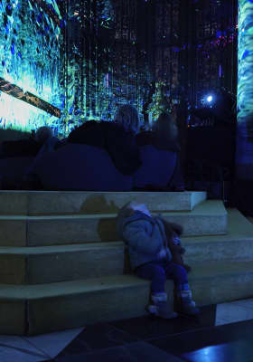 Photo 7 from Basilique Saint-Martin