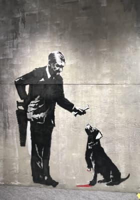 Photo 3 from Las Palmas