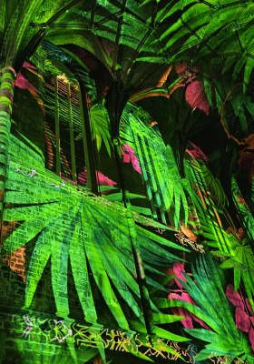 Photo 5 from Basilique Saint-Martin